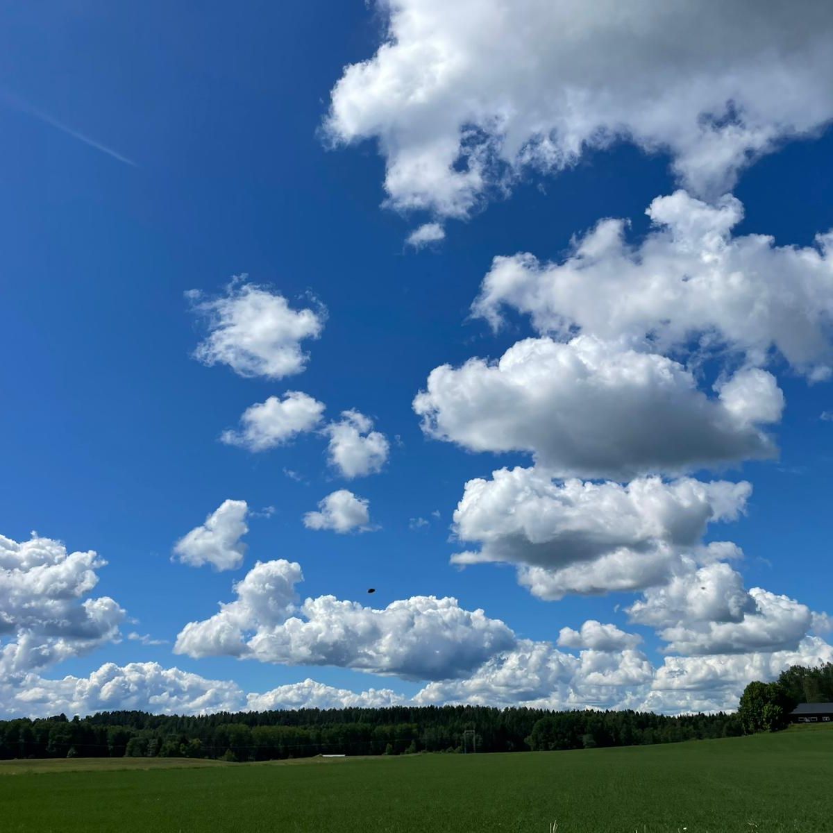 Foto von Jaanus Jagomägi von Unsplash