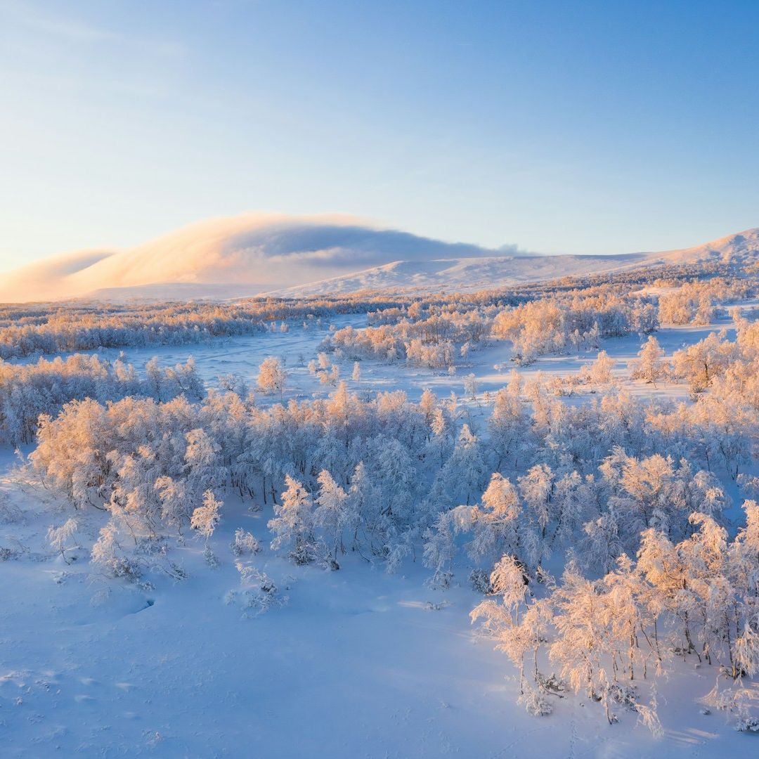 Foto von Jaanus Jagomägi von Unsplash